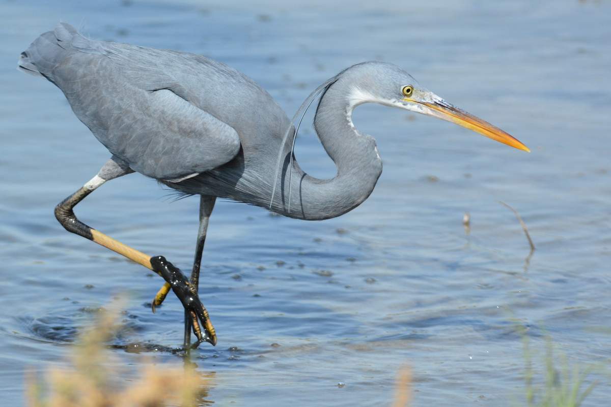 Visit Langkawi Wildlife Park
